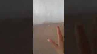 melhor m&aacute;gico do Piau&iacute;
