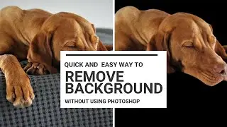 How to Remove Image Background Automatically FOR FREE