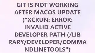 Git is not working after macOS update (