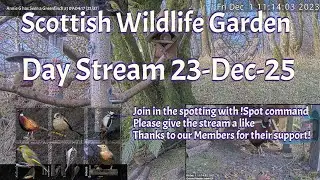 Day Stream December 23rd 2025 | Bird Feeders, Wildlife Cameras Scotland UK from SWG