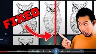 FIXED Red vertical line in the middle of screen Media Player Facebook Youtube Red Line Down Video