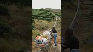 China's Mountain Rail Transport System for Farmers! ⛰️🌾