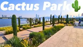 &ldquo;Cactus Park Promenade 🌵 Dubai&rsquo;s Most Peaceful Sunset Walk&rdquo;