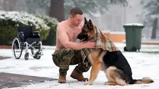 Disabled Veteran Loses Everything Until German Shepherd Arrives and Changes His Life
