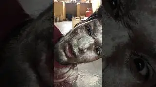 top comedy video 🤣 #comedyvideos #funnyshorts #viralvideo #shorts #trending @BipinBazigarrr