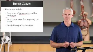 Mammary Glands and Breast Cancer (Ch27 Reproductive - Slides54-60)