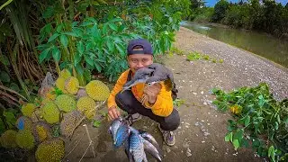 5 Hari berburu jerat burung ruak-ruak  & pasang 100 meter jaring disungai saat air surut!!! #KOOKIKO