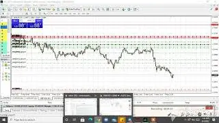 MY FOREX PHASE 1 EVALUATION PASSED IN A DAY! | TRUE FOREX FUNDS