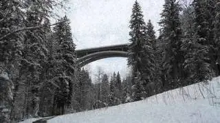 :SITD: tarnfarbe.wmv