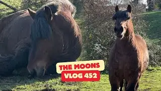 &ldquo;Thomas Needs a New Home&hellip; BUT it&rsquo;s not what you think !!! 