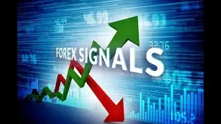 IGENIUS Forex Signals |  توصيات خارج المنافسة