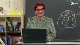 Domaća zadaća za 7. razred: Biologija - Ćelijska dioba - mitoza