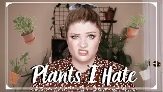 PLANTS I HATE! Houseplants I Just Can't Get Into 2020