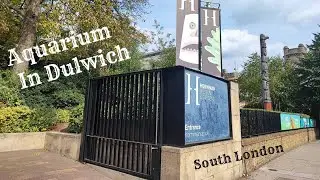 Horniman museum aquarium tour