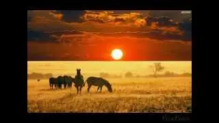 When the Sun Smiles (Radio Edit) - Mino Safy