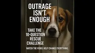 Rate Your Local Animal Services: How Is Your Community Doing?