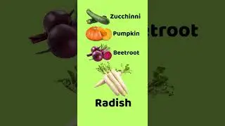 Learn Vegetable names in English | Vegetables pictures | Vegetable Vocabulary for Kids & Beginners