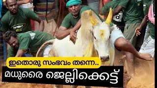 ഇതൊരു സംഭവം തന്നെ..മധുരൈ ജെല്ലിക്കെട്ട്|Madurai Jellikkett