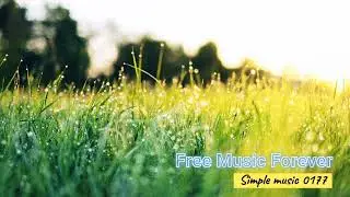 #177 [No copyright] | Piano Music | Time heals all sorrows
