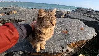 Они не могут говорить, но их потребности очевидны.