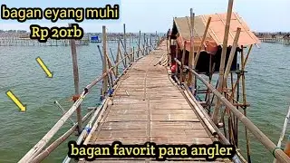 saking melimpahnya ikan disini umpan turun langsung di sambar || bagan tanjung pasir