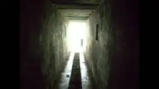 FEDERICO BRUNO - Pet Sematary (Ramones Acoustic Cover)