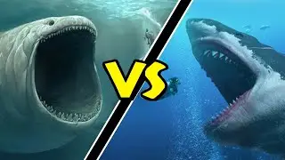 Megalodon VS Bloop! Quem venceria essa Batalha?