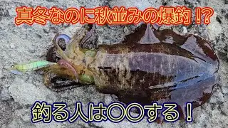 【エギング】真冬でも秋並みに爆釣する人と、坊主で帰る人の決定的な違いとは！