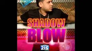 Shadow Blow -- Ni Virgen Ni Santa (2013)