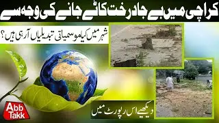 How Tree Cutting in Karachi is effecting the weather | AbbTakkExclusive