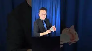 A pathway to a different dimension? #magic #magician #magicians #coin #coins #fun #amazing
