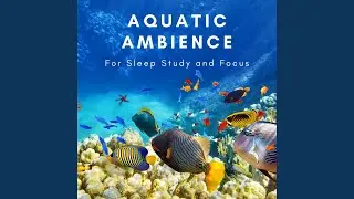 Relaxing Aquarium Fish Tank Sounds