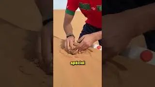 Le sable du d&eacute;sert s'est transform&eacute; en quelque chose d'incroyable 😱