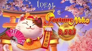 IDG- Fortune Neko, Follow the Cute Cat to a 8,583x Golden Win!