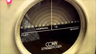 STROBOTUNER ST 11