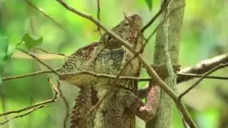Madagascar 2024 Part 4