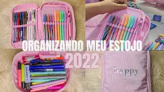 ORGANIZANDO MEU ESTOJO 2022 / TUDO ROSA 🤩💖