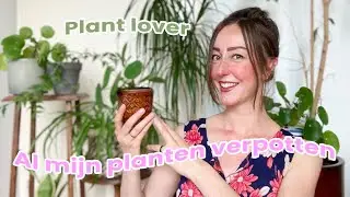 🌿PLANTENVLOG 🌱 AL MIJN KAMERPLANTEN VERPOTTEN | LENTE 2022 KAMERPLANTEN VERPOTTEN | Zeg Maar Mich