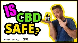 Is CBD Safe - CBD Safety Guide