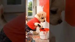cute puppy save your brother 🥰 #cute #viral #petlover #pets #viral #shorts#youtubeshorts#ytshorts