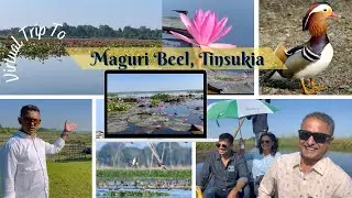 MUST VISIT PLACE IN ASSAM || Maguri Beel  In Tinsukia, Assam || Untouched & Splendid Lake In Assam