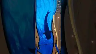 MSC World America Cruise Ship Indoor View
