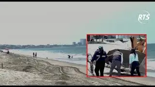 Emergencia ambiental: Hallan sustancia química desconocida en playa de Santa Elena