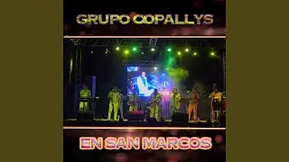 Corrido la 4X4/Guayabera/Corrido de los Dos Chavalos/Corrido de los Drones (En Vivo)