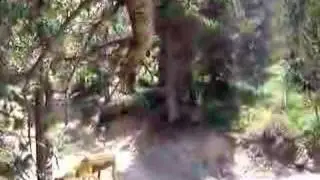Oscar Saiz, salto Granvalira