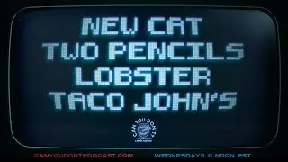 Can You Don't? | New Cat. Two Pencils. Lobster. Taco John's.