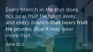 Pruned to Bear More Fruit - KCC Sunday Service - 18 January 2026