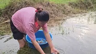 Single Mom&rsquo;s Everyday Life | Gardening, Bean Harvest, Home Cooking & Caring for Her Children