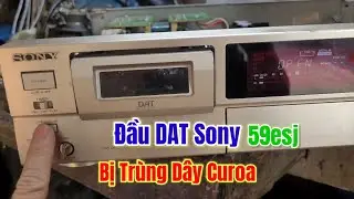 Đầu Băng Dat Sony 59esj Bị Trùng Dây Curoa (Cách Sử Lý)