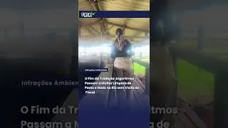 O Fim da Tradi&ccedil;&atilde;o: Algoritmos Passam a Multar Limpeza de Pasto e Gado no Rio sem Visita do Fiscal